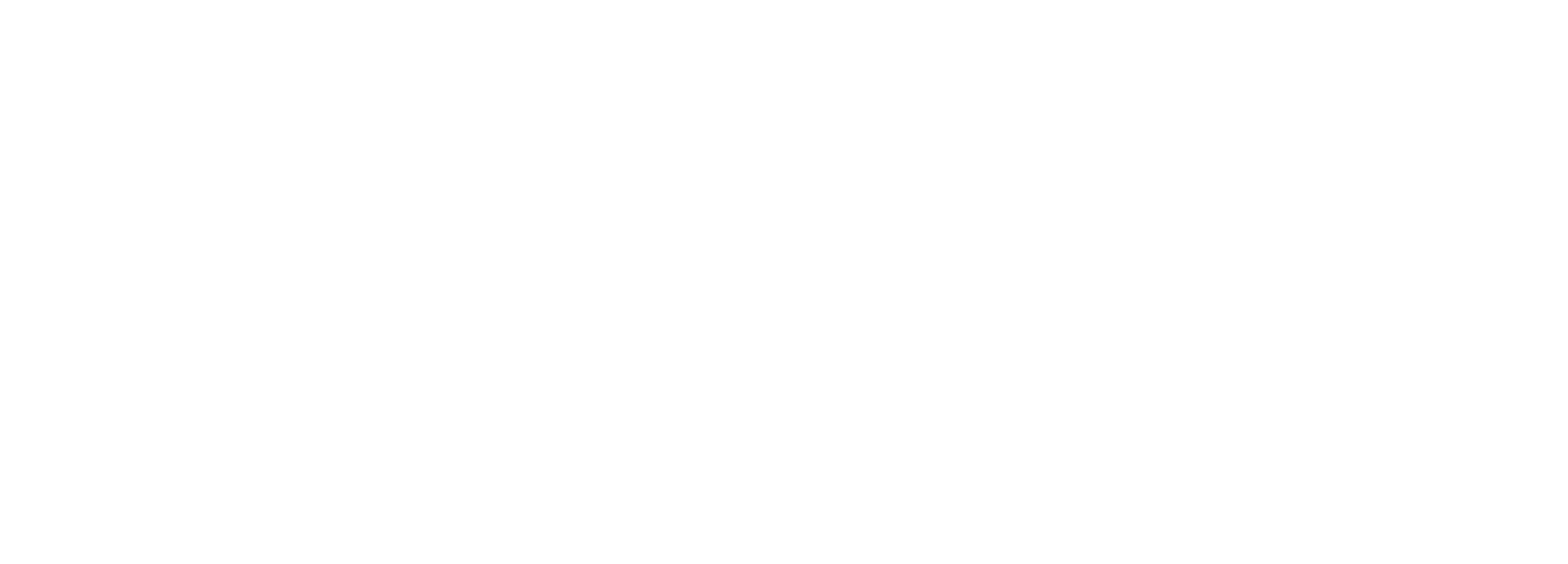 Access Partnership
