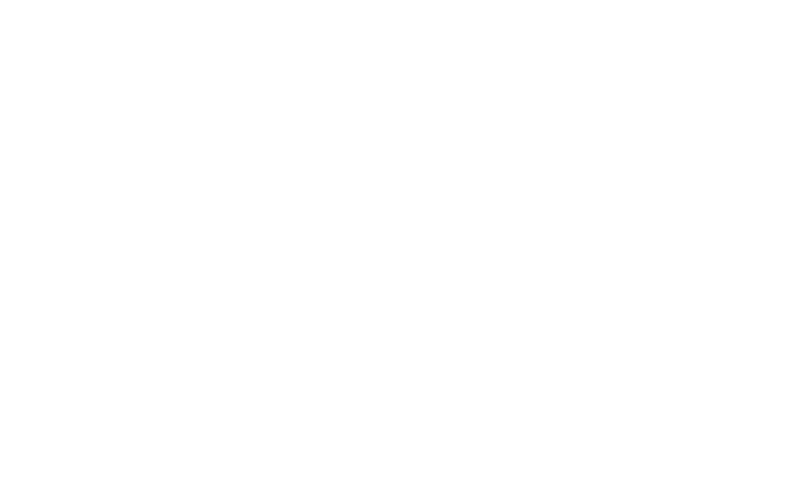Virtual Frontier