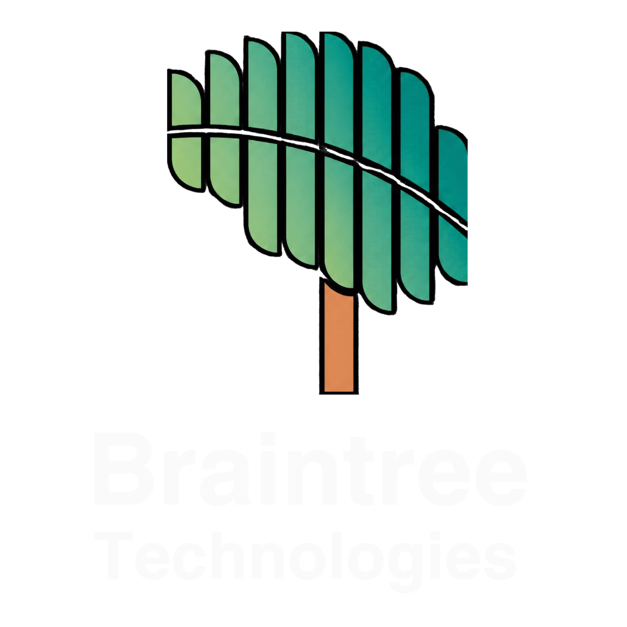 Braintree Technologies